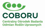 COBORU SŁUPIA WIELKA ŚRODA WIELKOPOLSKA